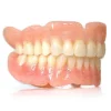 Heat Cure Dentures (1 Unit)